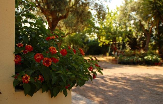 Rio Barca Bed And Breakfast Alghero Exteriér fotografie